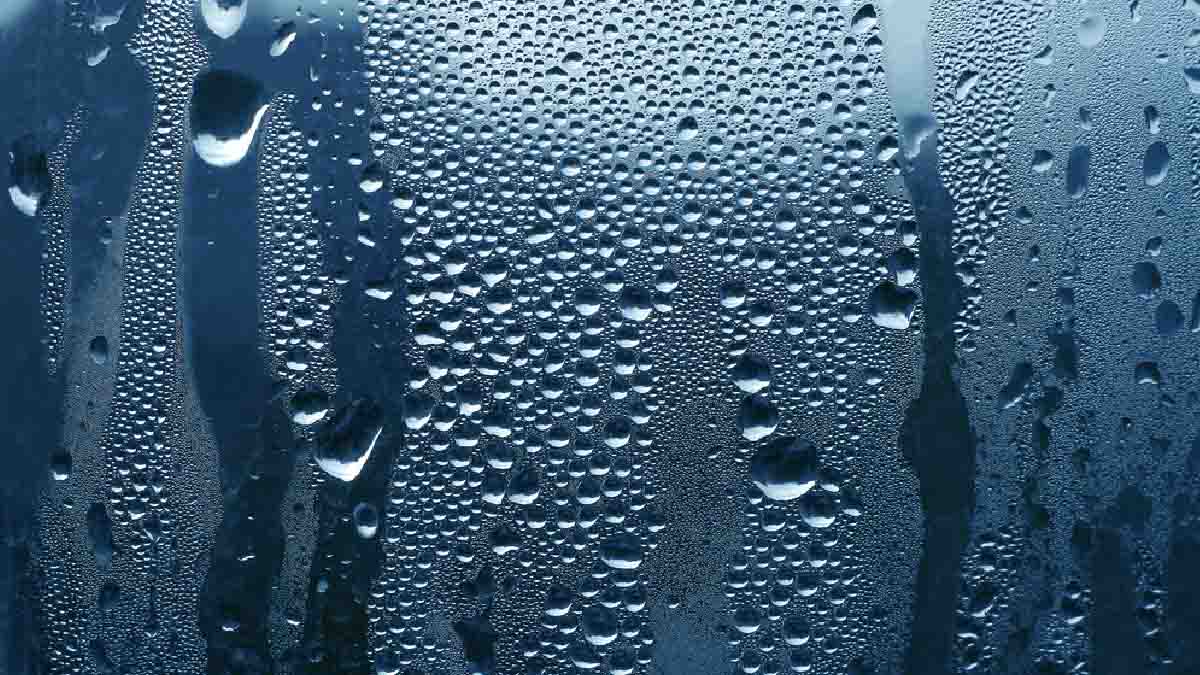 Condensation sur les fenêtres : voici comment l'éliminer rapidement de vos  vitres