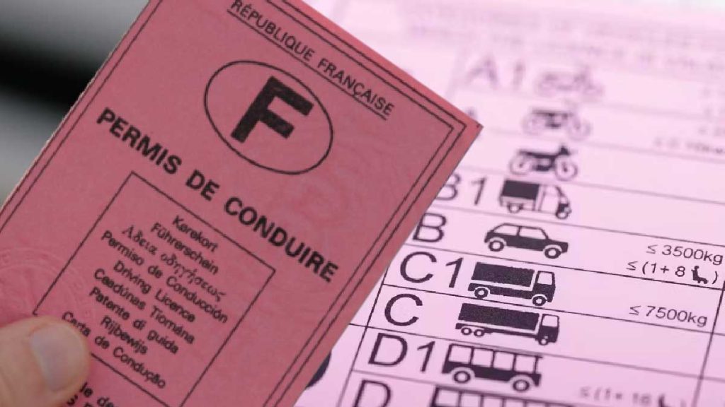 Permis De Conduire : Fin Du Permis Rose Cartonné