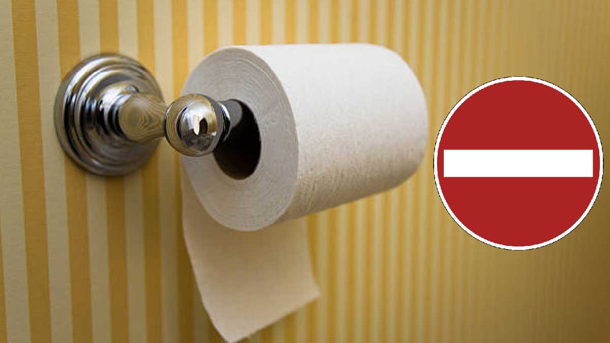 Papier Toilette Révolutionnez Votre Routine Et Adoptez Des Alternatives écologiques Et Hygiéniques 5041