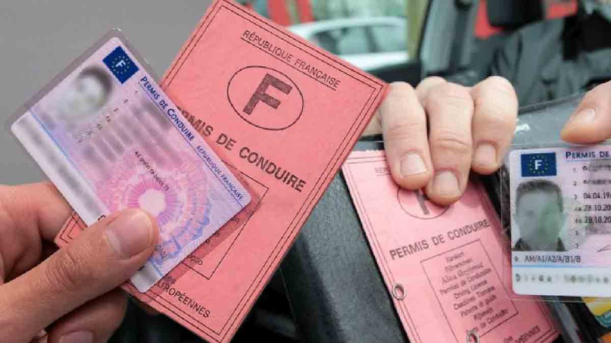 Permis De Conduire En Main, Vérifiez Gratuitement Votre Solde De Points