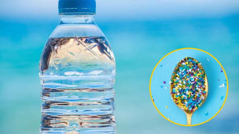 Comment Neutraliser Les Microplastiques De Leau